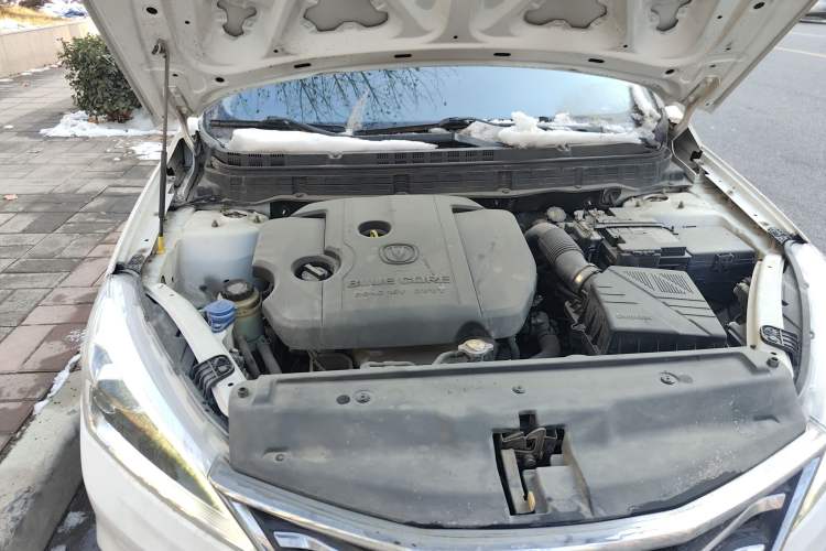 Used CHANGAN Eado DT 2019 1.6L Manual Enjoyment Model China VI Standard Engine Bay Right