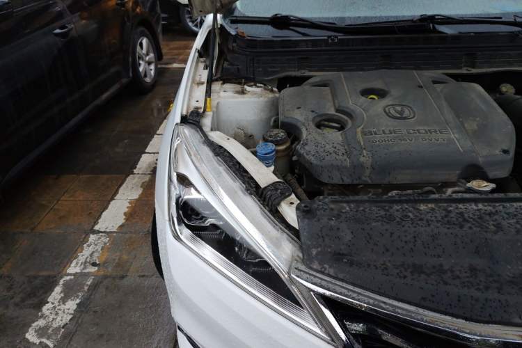 Used CHANGAN Eado DT 2019 1.6L Manual Enjoyment Model China VI Standard Engine Bay Right
