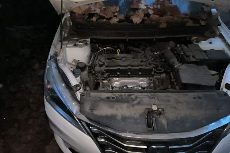 Used CHANGAN Eado DT 2019 1.6L Manual Comfort Model China VI Standard Engine Bay Right