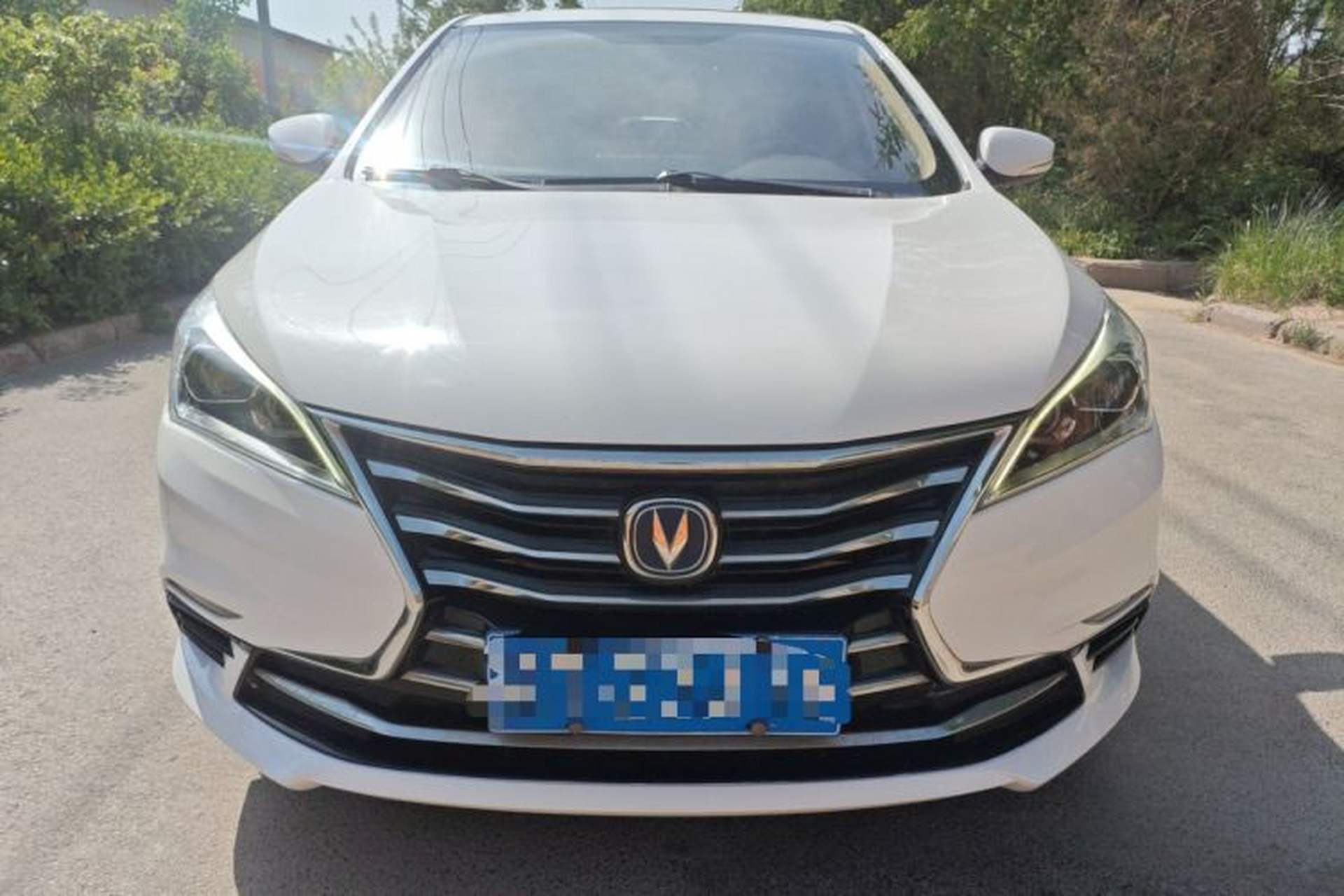 Used CHANGAN Eado DT 2019 1.6L Manual Comfort Model China VI Standard Exterior 1