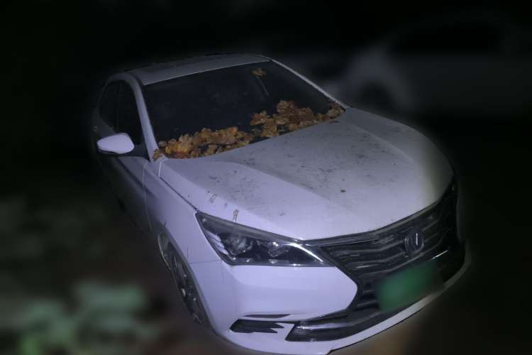 Used CHANGAN Eado DT 2019 1.6L Manual Comfort Model China VI Standard Front Right 45 Deg