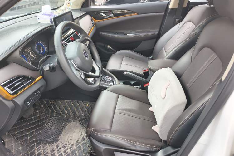 Used CHANGAN Eado DT 2019 1.6L Automatic Smart Enjoyment Model China VI Standard Left Front Seat