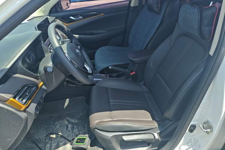 Used CHANGAN Eado DT 2019 1.6L Automatic Smart Enjoyment Model China VI Standard Left Front Seat