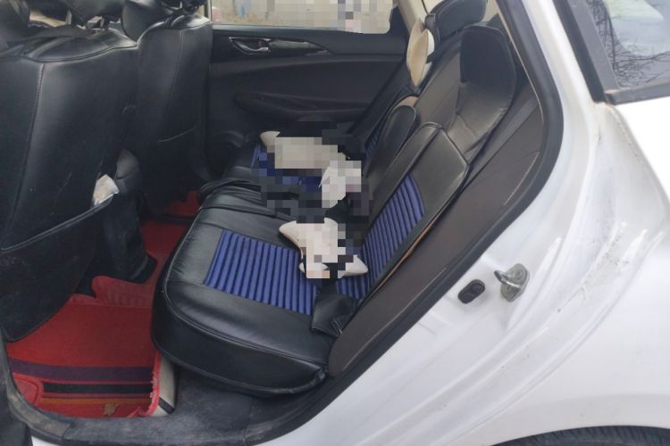 Used CHANGAN Eado DT 2019 1.6L Manual Comfort Model China VI Standard Left Rear Seat