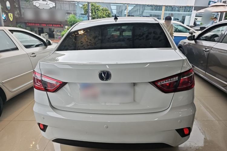 Used CHANGAN Eado DT 2019 1.6L Automatic Smart Enjoyment Model China VI Standard Rear