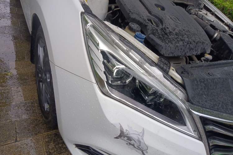 Used CHANGAN Eado DT 2019 1.6L Manual Enjoyment Model China VI Standard Right Front Headlight