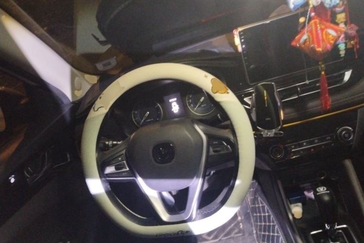 Used CHANGAN Eado DT 2019 1.6L Automatic Enjoyment Model China VI Standard Steering Wheel