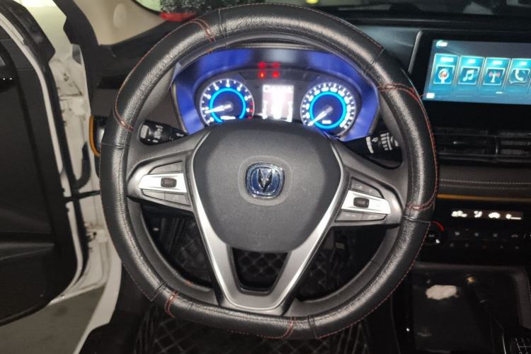 Used CHANGAN Eado DT 2019 1.6L Manual Enjoyment Model China VI Standard Steering Wheel