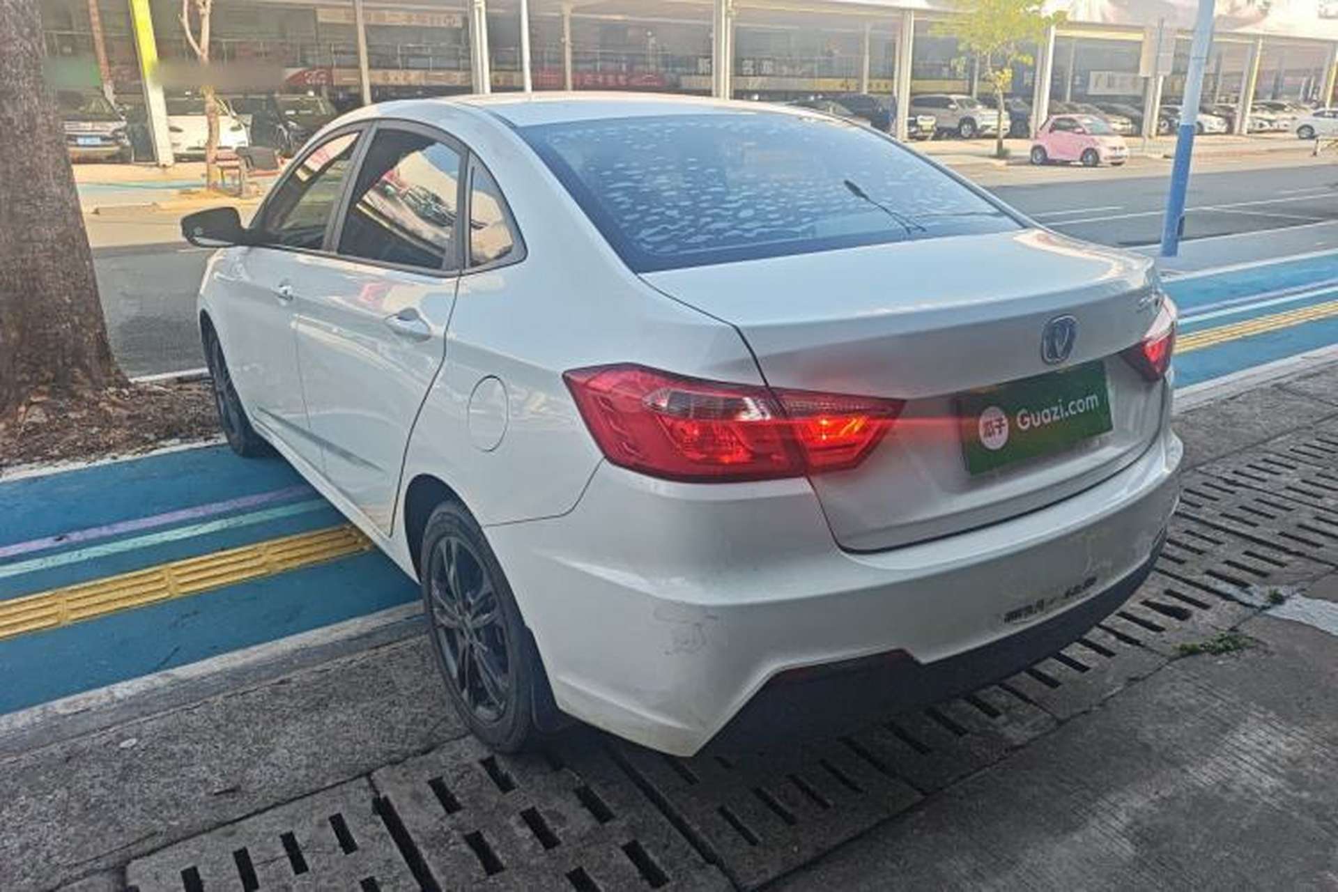 Used CHANGAN Eado DT 2021 1.6L Automatic Luxury Model Exterior 2