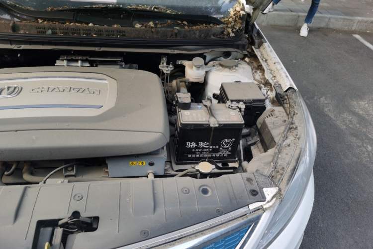 Used CHANGAN Eado New Energy 2016 All-Electric Luxury Model Engine Bay Left