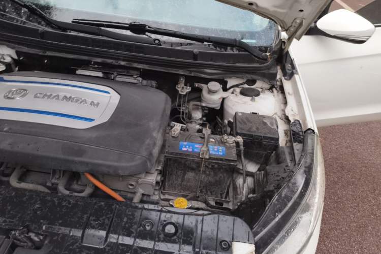 Used CHANGAN Eado New Energy 2018 EV300 Enjoyment Model Engine Bay Left
