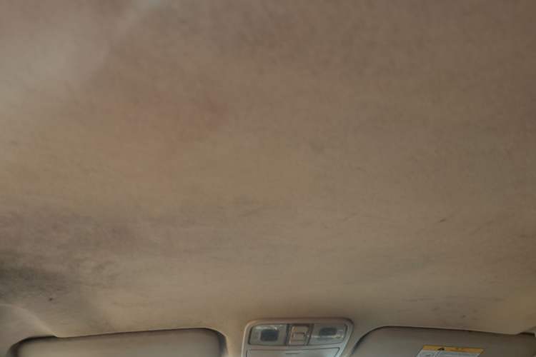 Used CHANGAN Eado New Energy 2018 EV300 Enjoyment Model Headliner