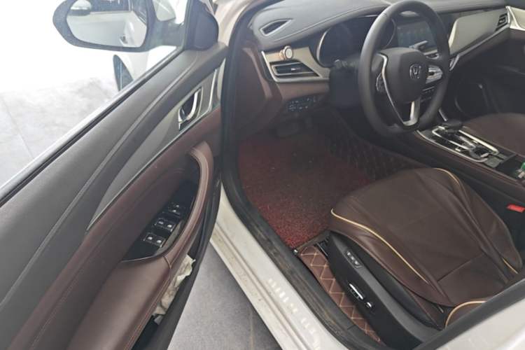 Used CHANGAN Eado New Energy 2019 EV460 Smart Edition Driver Seat