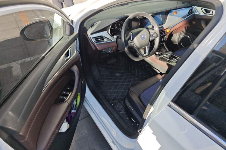 Used CHANGAN Eado New Energy 2019 EV460 Smart Edition Driver Seat