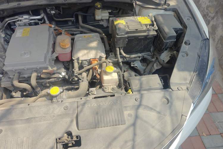 Used CHANGAN Eado New Energy 2019 EV460 Smart Edition Engine Bay Left