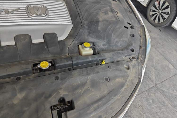 Used CHANGAN Eado New Energy 2019 EV460 Smart Edition Engine Bay Left