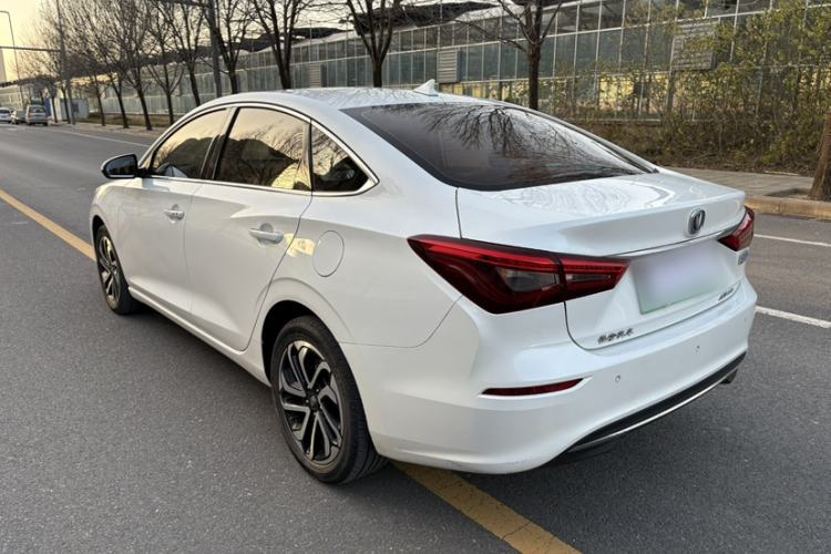 Used CHANGAN Eado New Energy 2019 EV460 Smart Edition Exterior 2