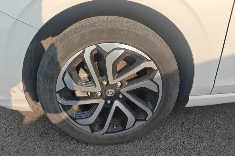 Used CHANGAN Eado New Energy 2019 EV460 Smart Edition Exterior 7