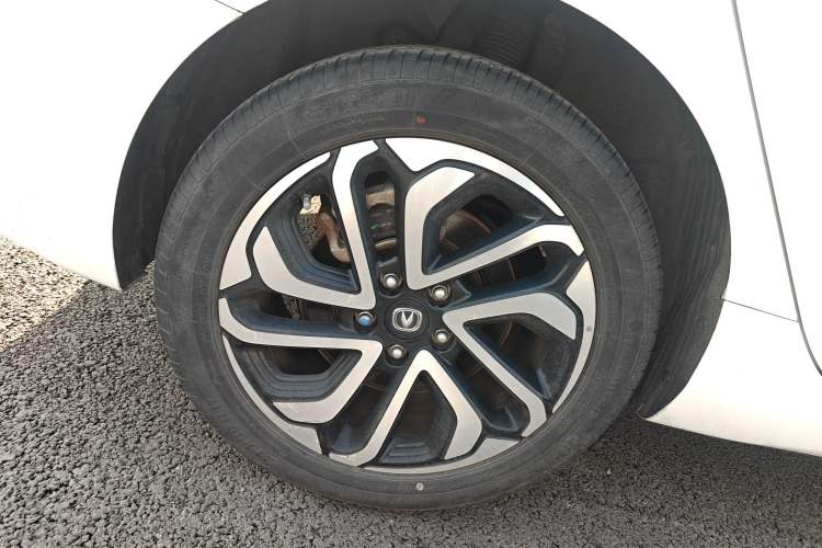 Used CHANGAN Eado New Energy 2019 EV460 Smart Edition Exterior 8