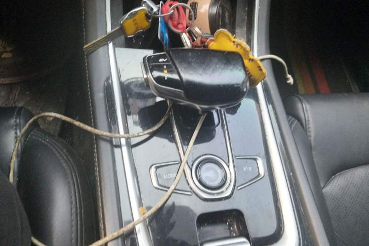 Used CHANGAN Eado New Energy 2019 EV460 Smart Edition Gear Lever