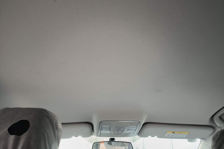 Used CHANGAN Eado New Energy 2019 EV460 Smart Edition Headliner