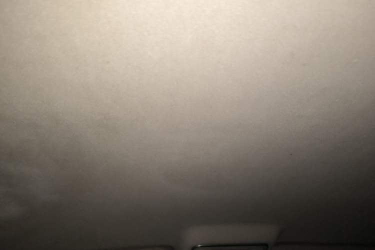 Used CHANGAN Eado New Energy 2019 EV460 Smart Edition Headliner
