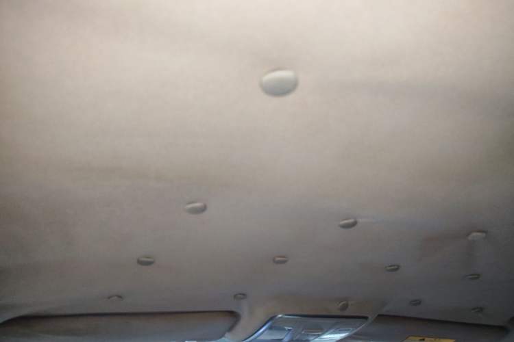 Used CHANGAN Eado New Energy 2019 EV460 Smart Edition Headliner