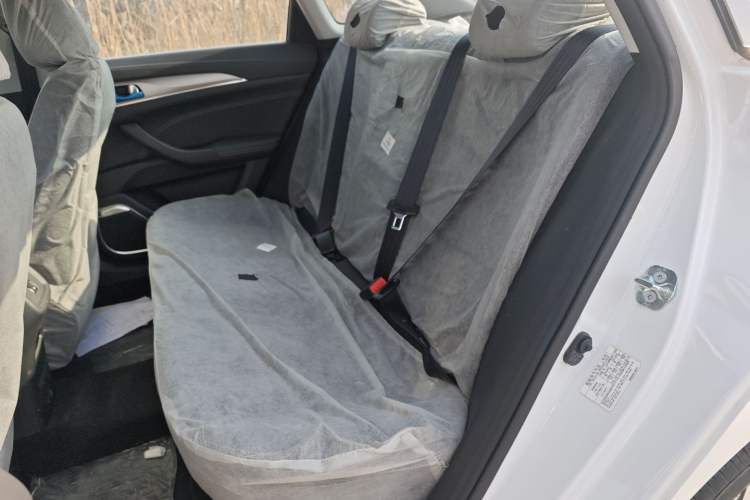 Used CHANGAN Eado New Energy 2019 EV460 Smart Edition Interior 4