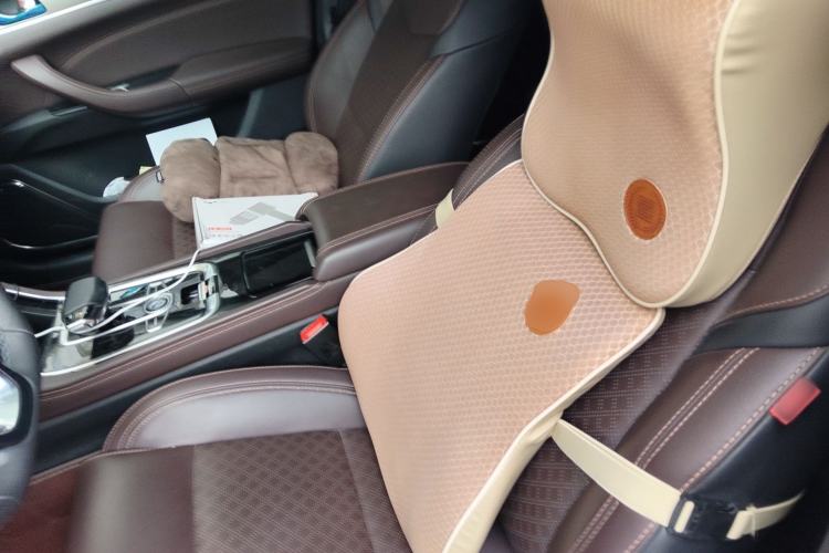 Used CHANGAN Eado New Energy 2019 EV460 Smart Edition Left Front Seat