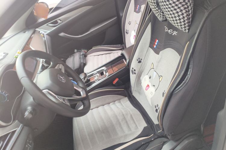 Used CHANGAN Eado New Energy 2019 EV460 Shared Version Left Front Seat