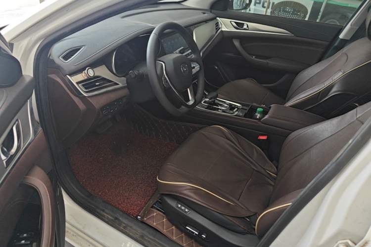 Used CHANGAN Eado New Energy 2019 EV460 Smart Edition Left Front Seat