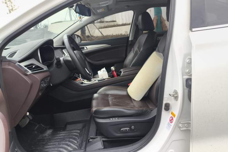 Used CHANGAN Eado New Energy 2019 EV460 Smart Edition Left Front Seat