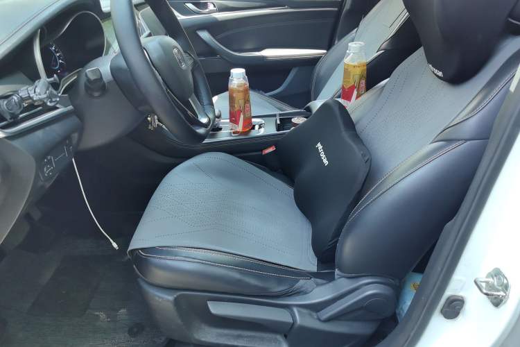Used CHANGAN Eado New Energy 2019 EV460 Smart Edition Left Front Seat