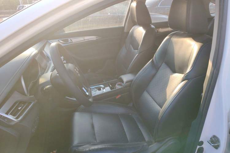 Used CHANGAN Eado New Energy 2019 EV460 Shared Version Left Front Seat
