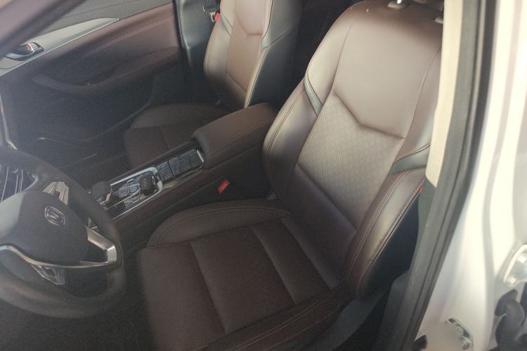 Used CHANGAN Eado New Energy 2019 EV460 Smart Edition Left Front Seat