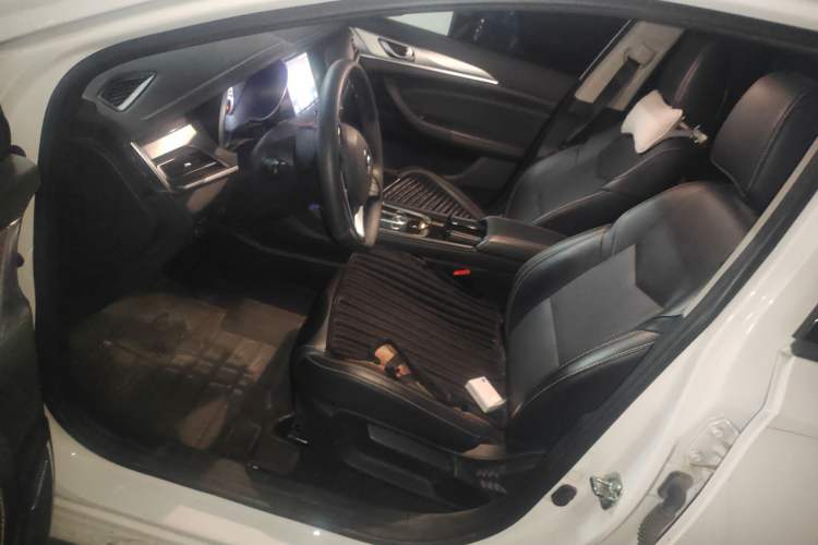 Used CHANGAN Eado New Energy 2019 EV460 Shared Version Left Front Seat