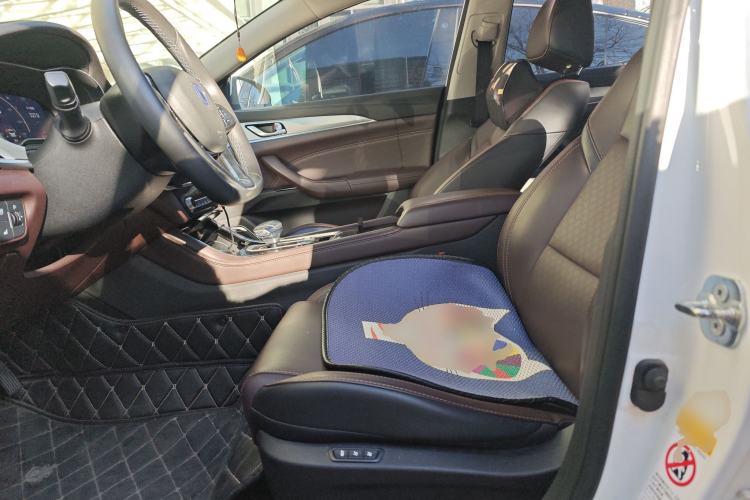 Used CHANGAN Eado New Energy 2019 EV460 Smart Edition Left Front Seat