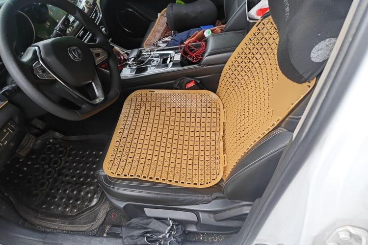Used CHANGAN Eado New Energy 2019 EV460 Smart Edition Left Front Seat