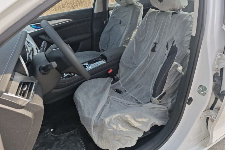 Used CHANGAN Eado New Energy 2019 EV460 Smart Edition Left Front Seat