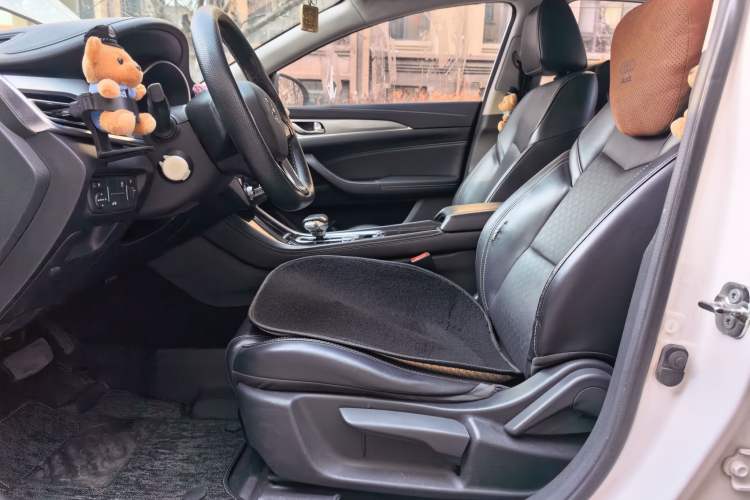 Used CHANGAN Eado New Energy 2019 EV460 Smart Edition Left Front Seat