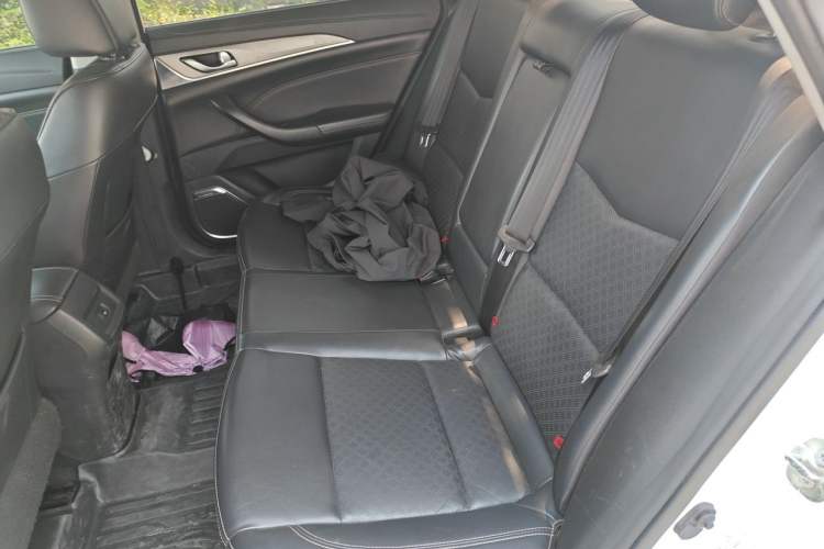 Used CHANGAN Eado New Energy 2019 EV460 Smart Edition Left Rear Seat