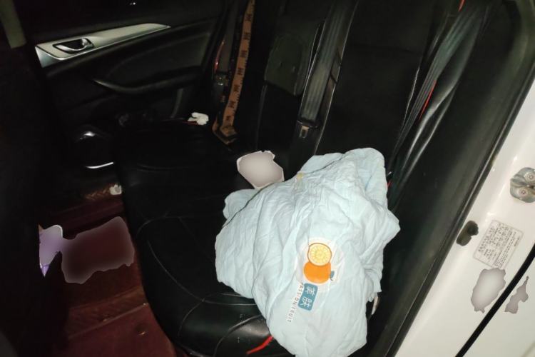 Used CHANGAN Eado New Energy 2019 EV460 Smart Edition Left Rear Seat
