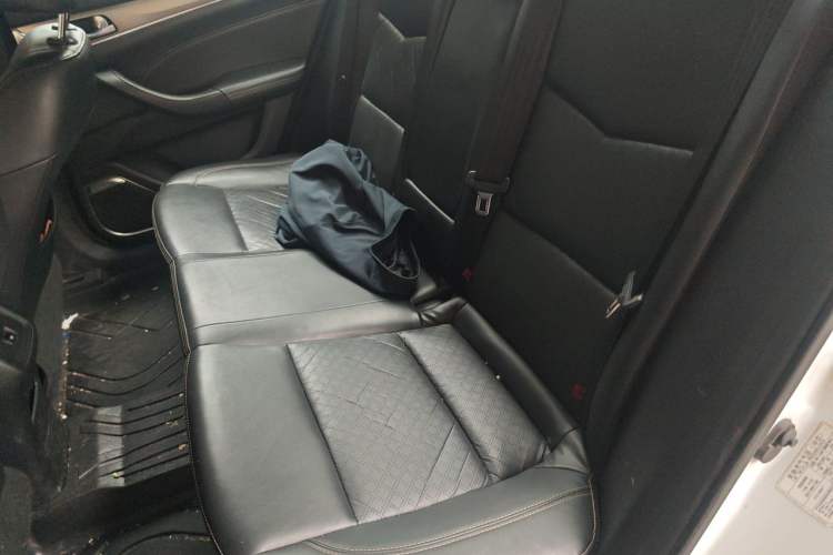 Used CHANGAN Eado New Energy 2019 EV460 Smart Edition Left Rear Seat