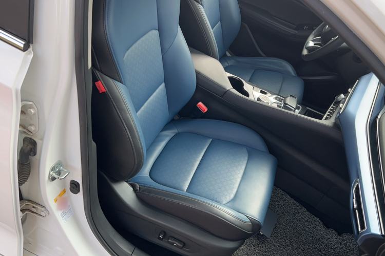 Used CHANGAN Eado New Energy 2019 EV460 Smart Edition Right Front Seat