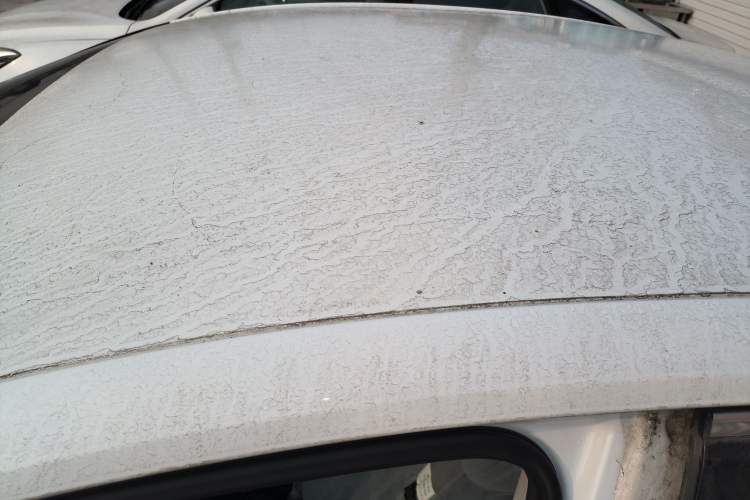 Used CHANGAN Eado New Energy 2019 EV460 Smart Edition Roof