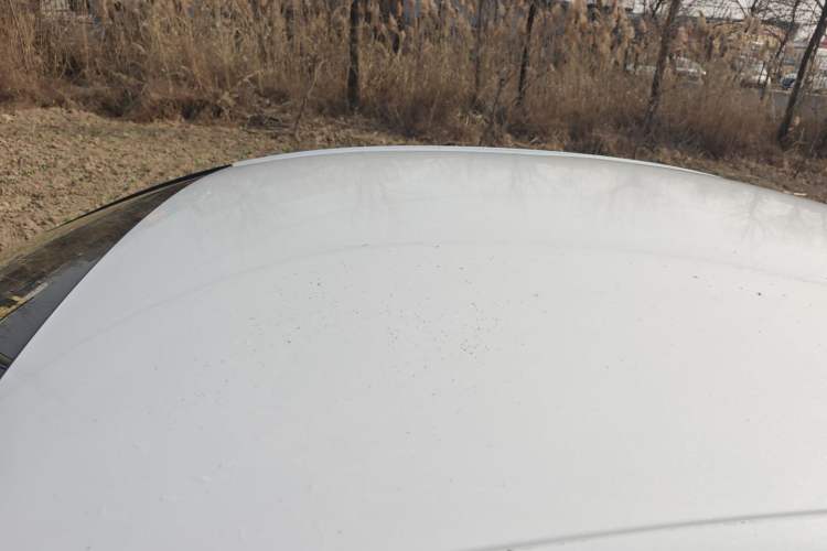 Used CHANGAN Eado New Energy 2019 EV460 Smart Edition Roof
