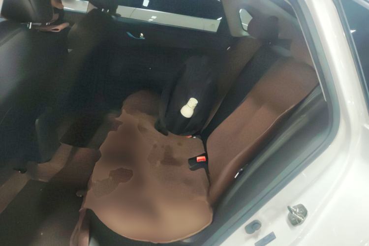Used CHANGAN Eado New Energy 2022 EV460 Smart Ride-Hailing Edition – Lithium Iron Phosphate Interior 4
