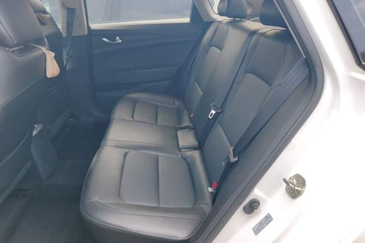 Used CHANGAN Eado New Energy 2022 EV460 Smart Ride-Hailing Edition – Lithium Iron Phosphate Left Rear Seat