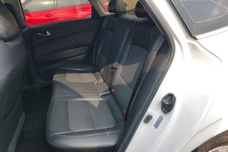 Used CHANGAN Eado New Energy 2022 EV460 Smart Ride-Hailing Edition – Lithium Iron Phosphate Left Rear Seat