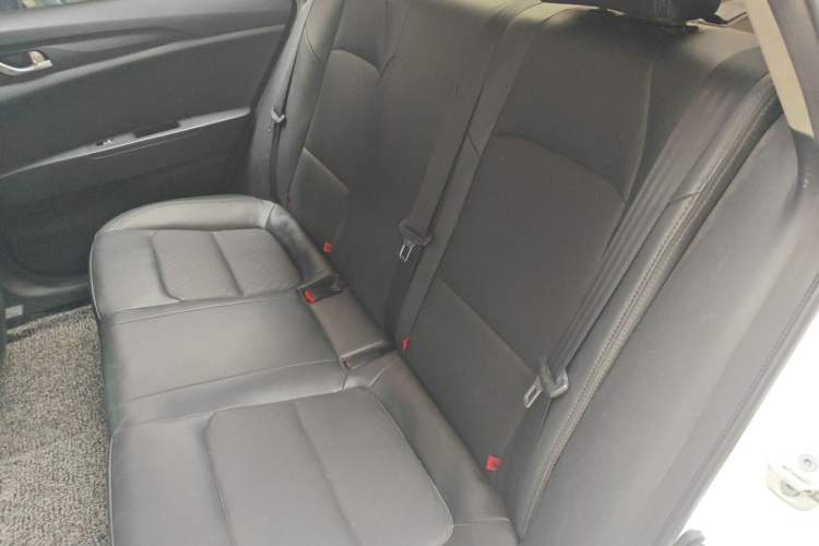 Used CHANGAN Eado New Energy 2022 EV460 Smart Ride-Hailing Edition – Lithium Iron Phosphate Left Rear Seat
